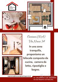 Appartamento a cicciano (na)