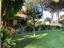 Immagine 12