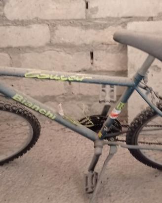 bicicletta 