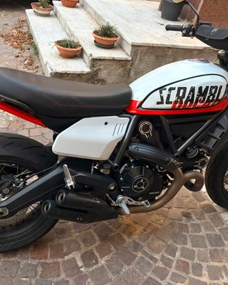 Ducati scrambler urban Motard