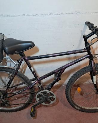 muontain bike