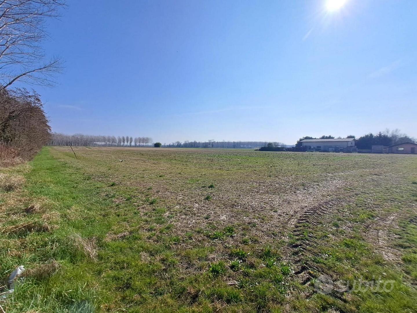 Lotti di terreni agricoli nei comuni di Pocenia... - Vista 2