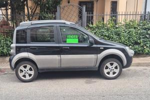 panda cross