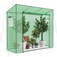 Serra da Giardino 200x77x169 cm con Porta e Finest