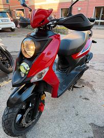 Sym Crox 50 - 12/2021