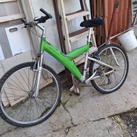 montanbike pininin farina 