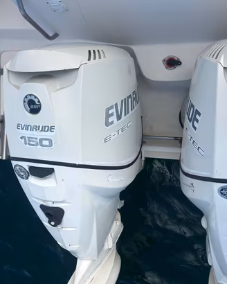 Coppia fuoribordo Evinrude E-TEC 150 v6