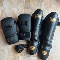 Guantoni parastinchi Leone