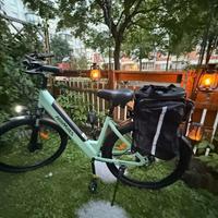 Bici Elettrica donna