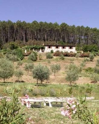 Rustico / Casale di 140 m² con più di 5 locali e b