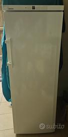 Freezer verticale Liebherr