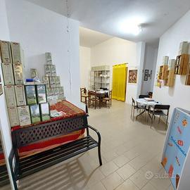 Negozio Grosseto [Cod. rif 3214338VCG]