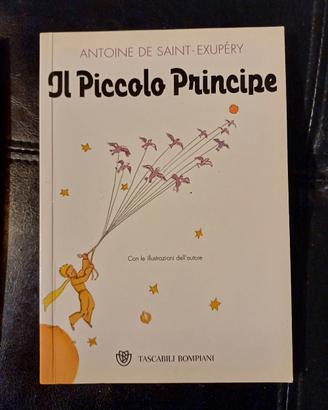 Il piccolo principe