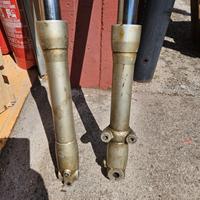 FORCELLA CERIANI COMPETIZIONE