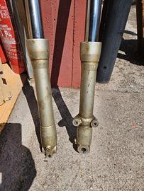 FORCELLA CERIANI COMPETIZIONE