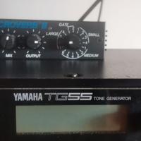 Alessis MICROVE ER 2 + Yamaha TG55