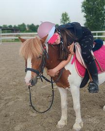 Pony femmina