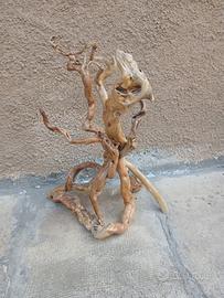 Radice da decorazione 