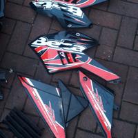 RR 125 '13 : radiatore cerchio centralina pinza pe