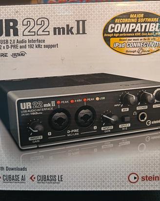 Steinberg Ur22 Mk2