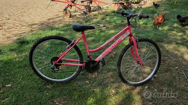 Bicicletta nuova