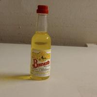 Mignon Gran Liquore Benevento Morandini