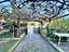 Immagine 25