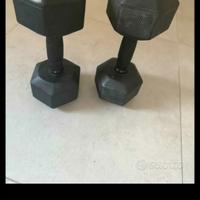 manubri 20 kg gommati 