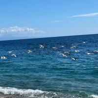 Appartamento - Mascali