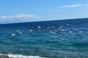 Appartamento - Mascali