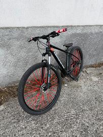 Lombardo