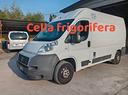 fiat-ducato-cella-frigorifica