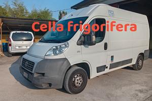 Fiat Ducato cella frigorifica