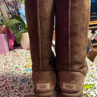 Ugg classic tall 37