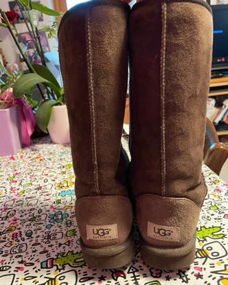 Ugg classic tall 37