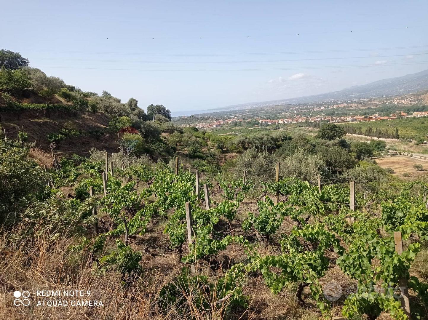 Terreno - Taormina - Altro