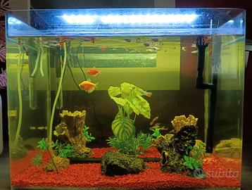 Acquario completo