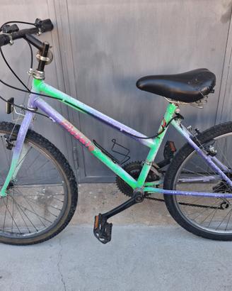 bicicletta verde/viola