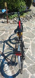 bici Adriatica Boxter