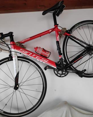 BICI DA CORSA SINTESI