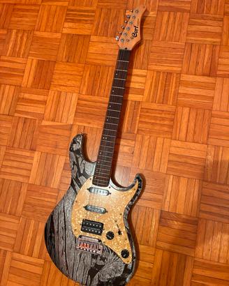 Chitarra elettrica Cort G210+ custodia+ampli
