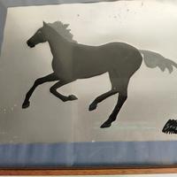 quadro cavallo 