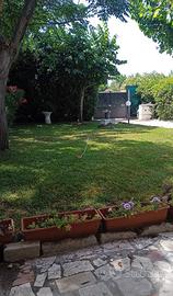 Casa Marina di Tor San Lorenzo