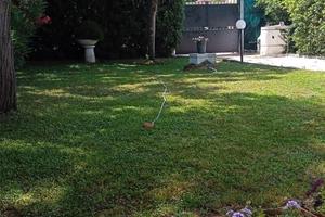 Casa Marina di Tor San Lorenzo