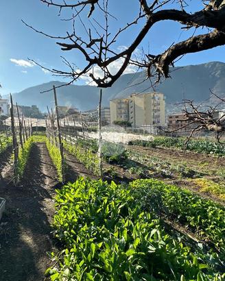 TER. AGRICOLO A GRAGNANO