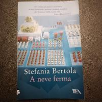 romanzo "A neve ferma" di Stefania Bertola