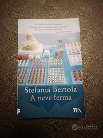 romanzo "A neve ferma" di Stefania Bertola