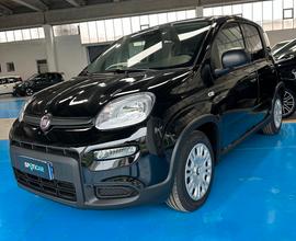 Fiat Panda PANDINA km 0 2024 con stereo