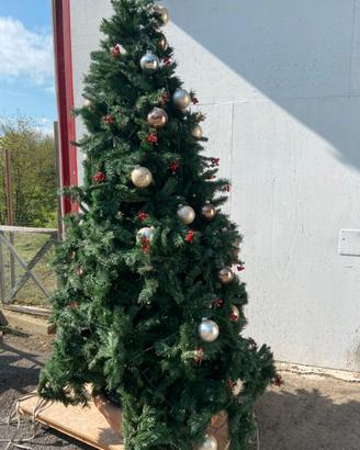 Albero di natale
