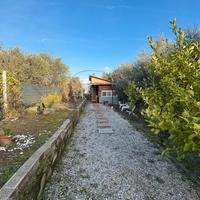 Lotto di terreno di 1000 mq con annesso